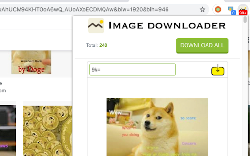 Image downloader