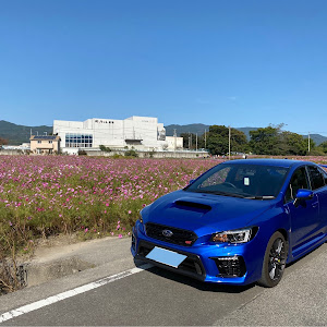 WRX STI VAB