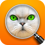 Guess the Pic! Close up Photos Apk