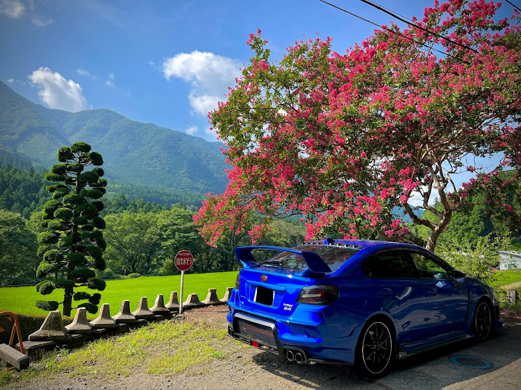 WRX S4の草木湖・古峰ヶ原峠・粕尾峠・いろは坂・赤城山に関するカスタム事例の投稿画像2枚目