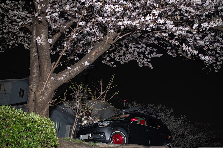 イグニスの夜桜・夜ドライブ・花粉まみれ・桜とコラボ・サクラと愛車に関するカスタム事例の投稿画像2枚目