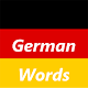 learn German words Download on Windows