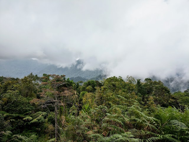 Bukit Kutu Peak View