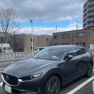 CX-30