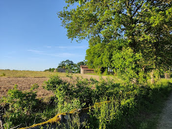 ferme à Aire-sur-l'Adour (40)