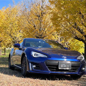 BRZ ZC6