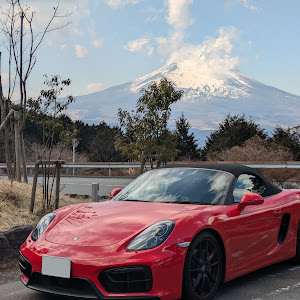 86 ZN6