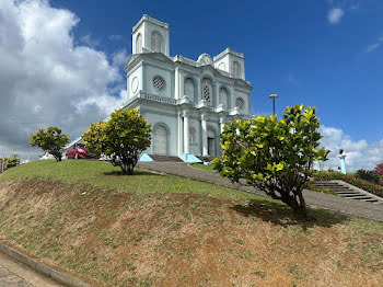 locaux professionnels à Sainte-Marie-Morne-des-Esses (972)