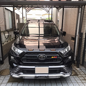 RAV4 MXAA54