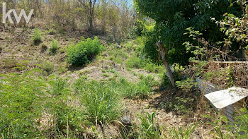 terrain à Saint Pierre (972)