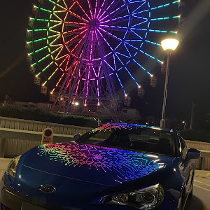 BRZ ZC6