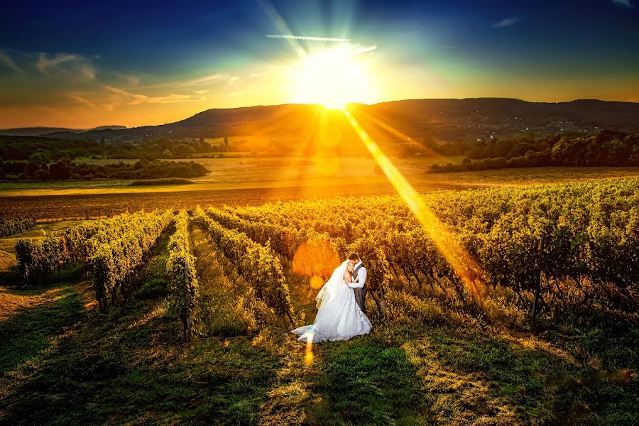 Fotógrafo de casamento Rita Szerdahelyi (szerdahelyirita). Foto de 12 de outubro 2020