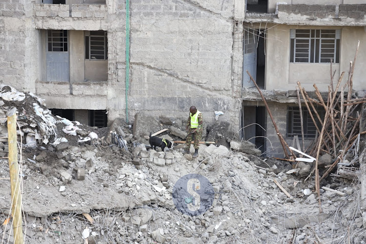 A police dog searches for clues on presence of victims of seven-storey building collapse at Kasarani, Nairobi on November 16, 2022.