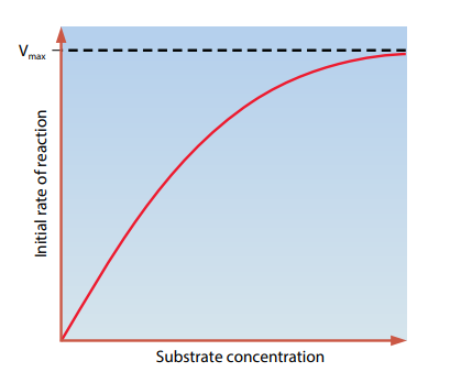 Diagram

Description automatically generated