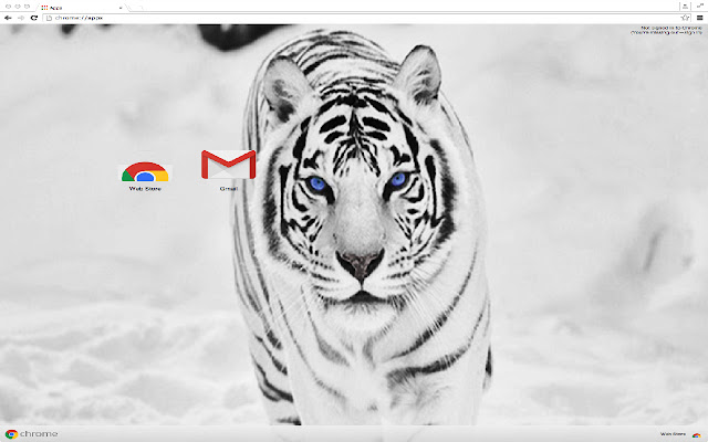 White Tiger Theme chrome extension