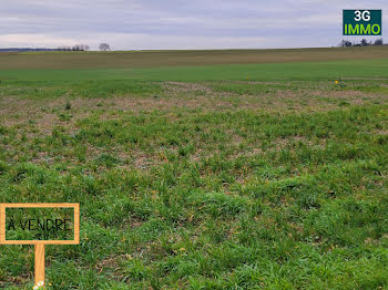 terrain à Champigny en Rochereau (86)