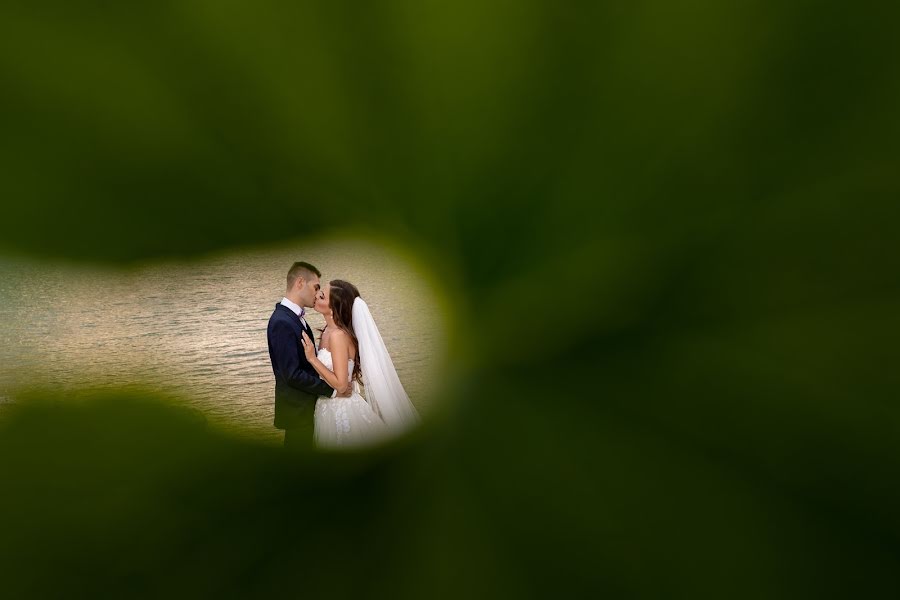 Fotografo di matrimoni Dani Timis (danitimis). Foto del 26 settembre 2018