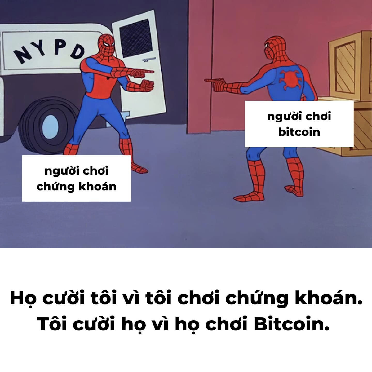 VNI sắp tím rồi haha