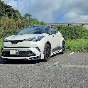 C-HR ZYX10