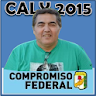 Caly 2015 icon