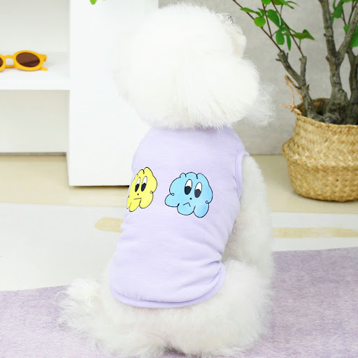 Title 7, Small and Medium Pomeranian, Teddy Bear, Laughi...