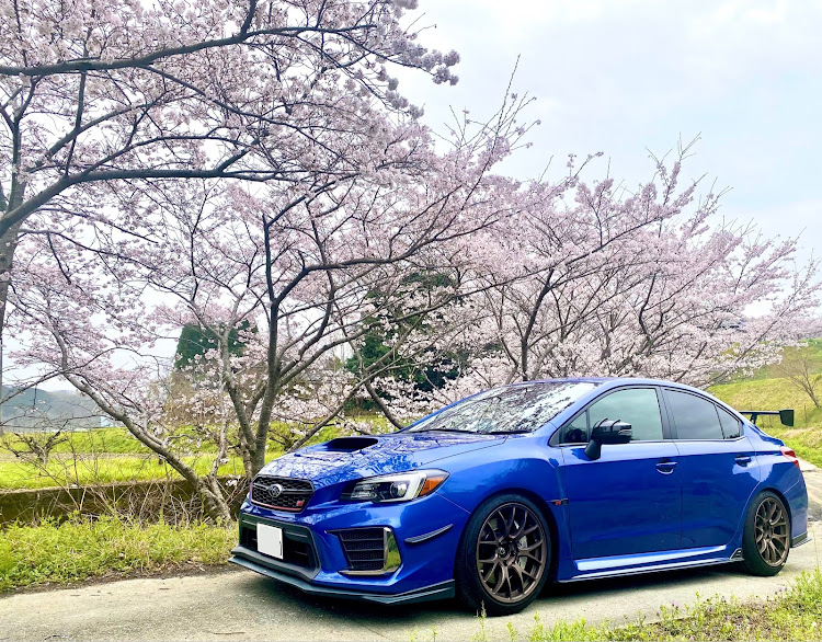 WRX STIのRA-R・STI・WRX・SUBARU・桜とコラボに関するカスタム事例の投稿画像1枚目