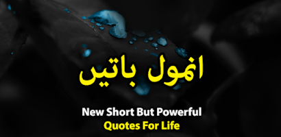 Urdu Quotations - Anmol Batien Screenshot