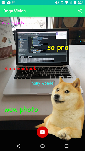 Doge Vision