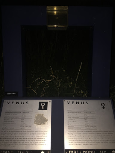 Venus