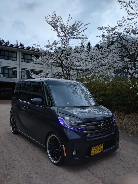 デイズルークスの桜シーズン開幕・桜と愛車に関するカスタム事例の投稿画像2枚目