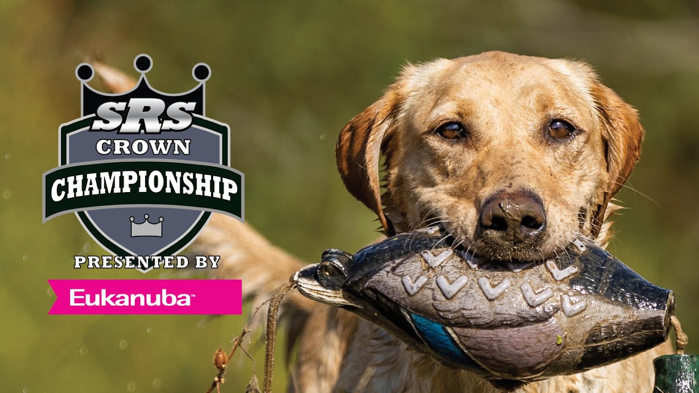 Watch The Super Retriever Series Crown Championship live