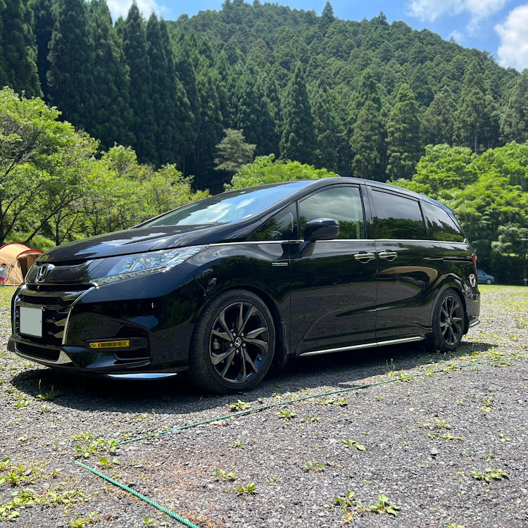 オデッセイの６月もよろしくお願いします・低いようで低くない丁度良い高さ・キャンプ・TEIN車高調・オデかけに関するカスタム事例の投稿画像1枚目