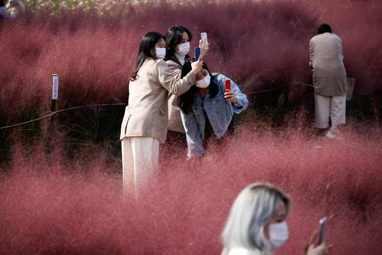 Women take a photograph of a pink muhly grass field amid the Covid-19 pandemic at a park in Hanam, South Korea, on October 13 2020.