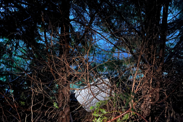 The fuselage plug area of Alaska Airlines Flight 1282 Boeing 737-9 MAX, which was jettisoned and forced the aircraft to make an emergency landing, is seen at a property where it was recovered in Portland, Oregon, US, on January 8 2024.