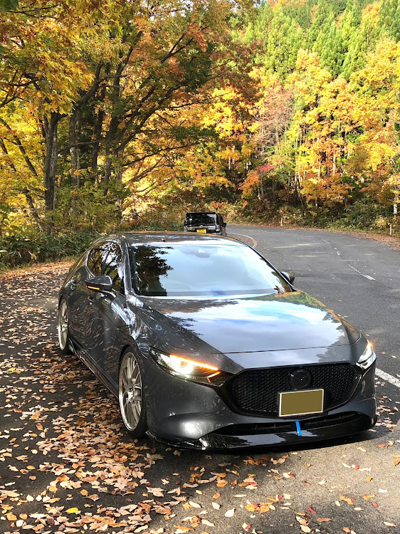 MAZDA3のマツダ3ファストバック・2022ベストショット・11月にエントリーしますに関するカスタム事例の投稿画像1枚目