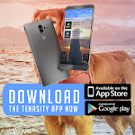 Cover Image of Télécharger TENASITY 1.0.2 APK