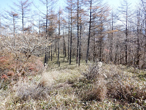 東の尾根へ