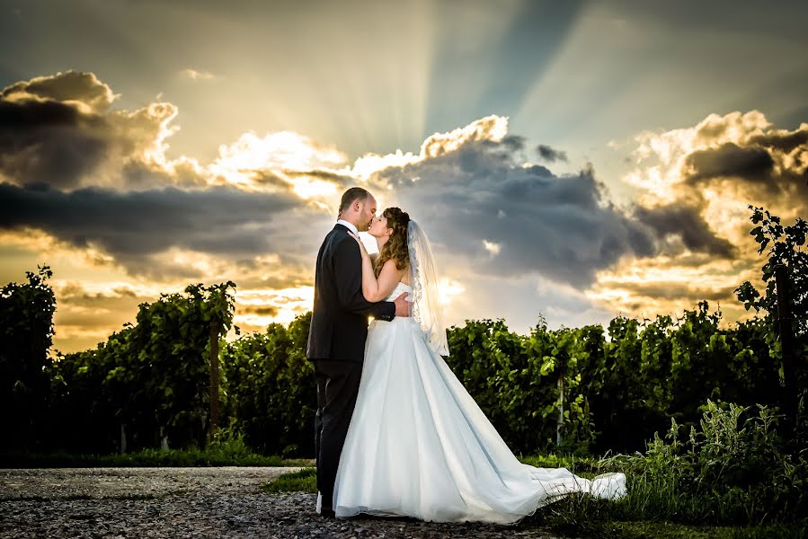 Fotógrafo de casamento Reza Shadab (shadab). Foto de 31 de janeiro 2018