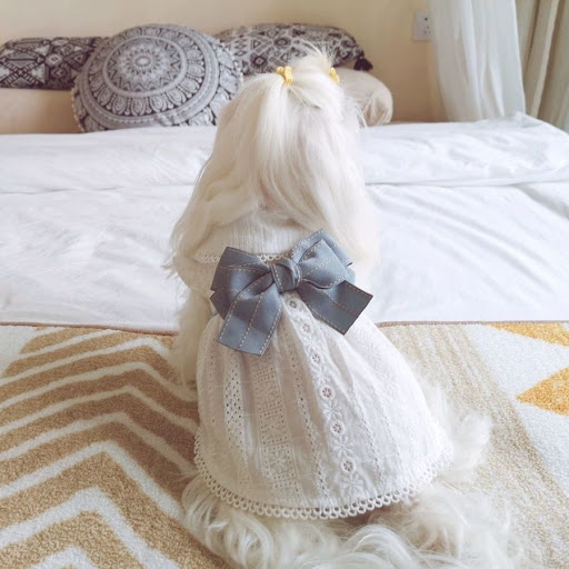 Title 4, Summer Pet Cotton Little White Dress, Lightweig...