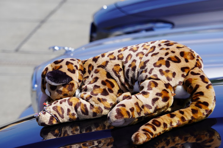 スカイラインのオフ会・大阪・JAGUAR XF・JAGUAR XJ・CLA45AMGに関するカスタム事例の投稿画像11枚目