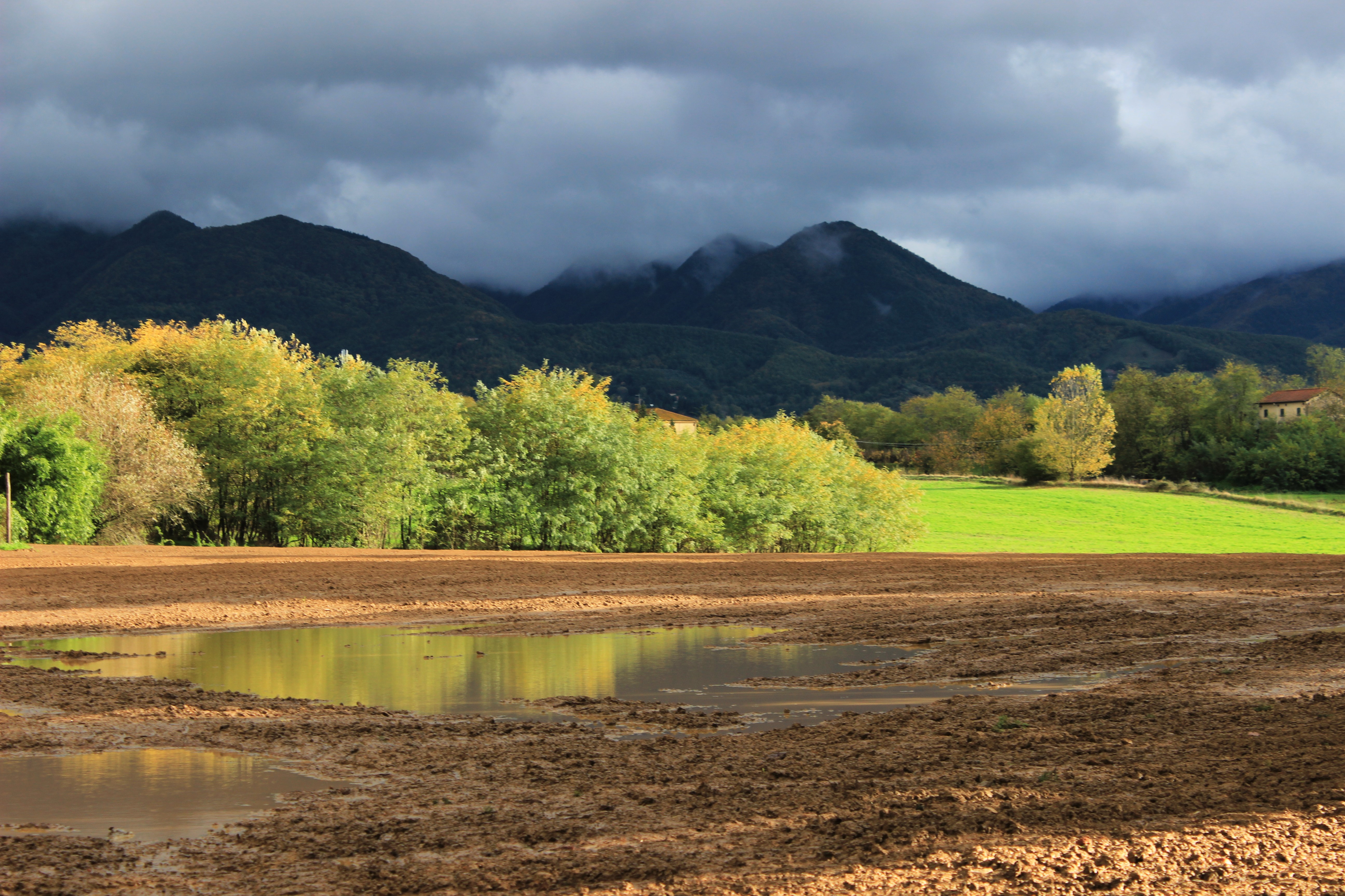 L'autunno in anticipo di ManuelGoWest