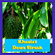 Download Khasiat Daun Sirsak For PC Windows and Mac 1.1.0