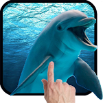 Dolphins Live Wallpaper Apk