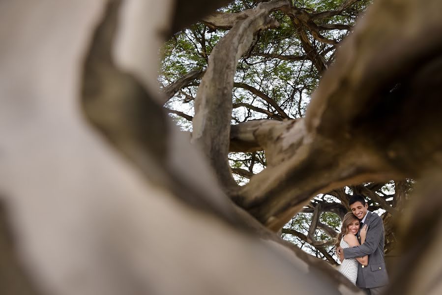 Fotógrafo de bodas David Hofman (hofmanfotografia). Foto del 12 de mayo 2017