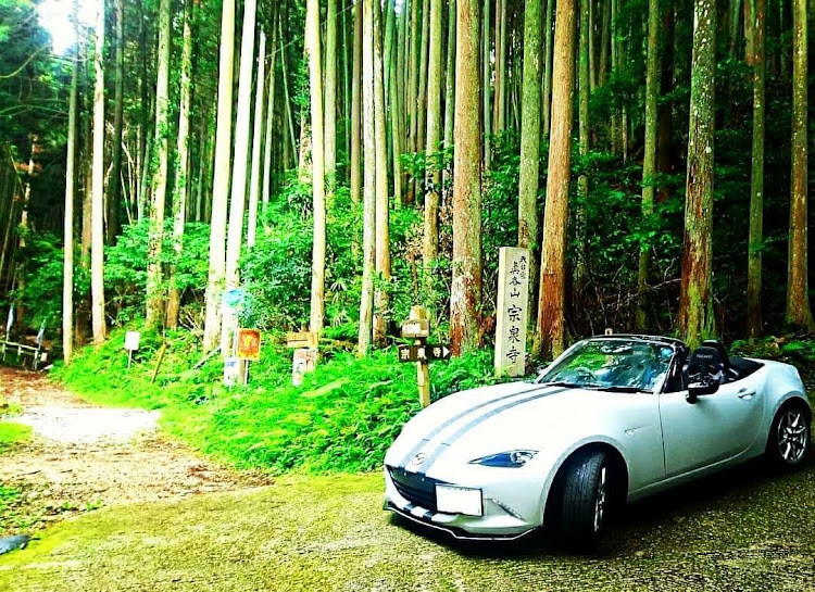 ロードスターのドライブ・林道・林道ドライブ・苔に関するカスタム事例の投稿画像4枚目