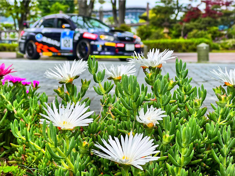 インプレッサ WRX STIの日本平・東静岡・カメ活・心PROJECT・GWに関するカスタム事例の投稿画像5枚目