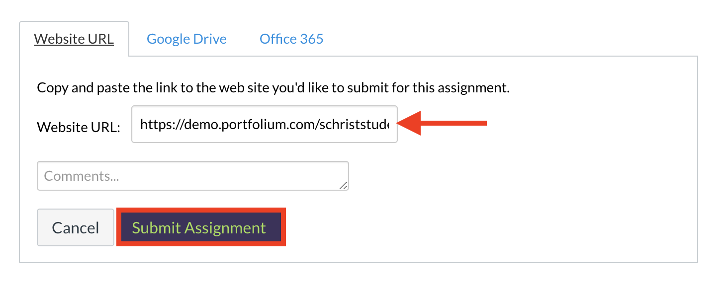 Canvas Assignment submission box with arrow pointing to URL submission box and submit button highlighted. 