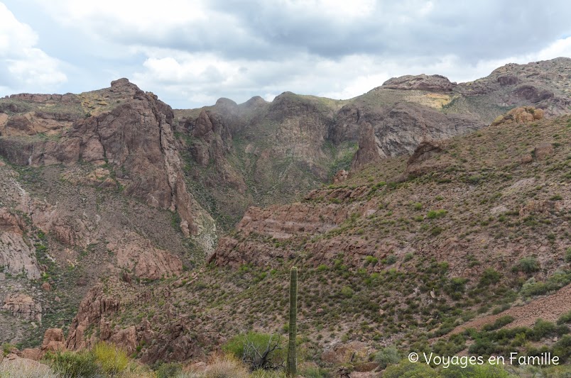 Arch trail, organ pipe cactus NM