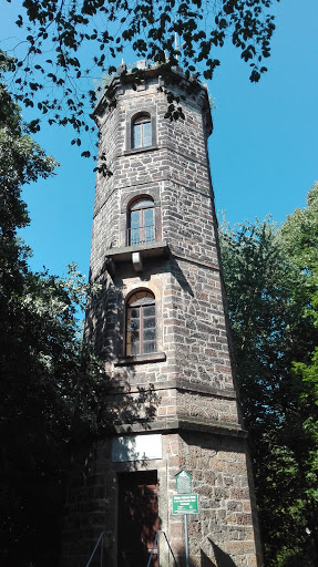 König Johann Turm