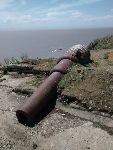 Victorian Cannons